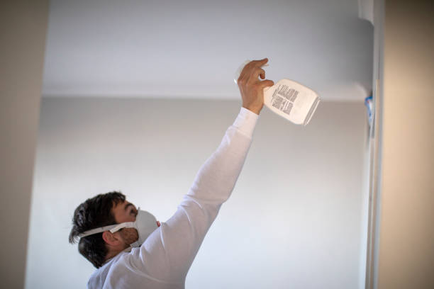 Best Mold Testing  in Carterville, MO